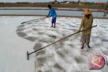 Garam Bipolo Mampu Menutup Impor Garam