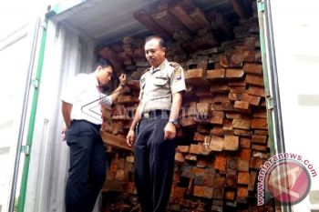 Peredaran Kayu Ulin Ilegal Masih Marak Di Kotim 