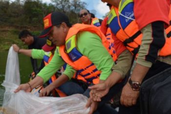 292.500 Benih Ikan Ditabur di Waduk Wadaslintang