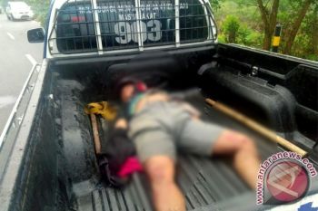 Astaga! 6 Tewas Hanya Dalam 10 Hari Pada Lakalantas