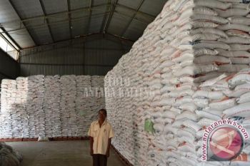 6 Bulan Ke Depan, Stok Beras Di Barito Selatan Dipastikan Masih Aman