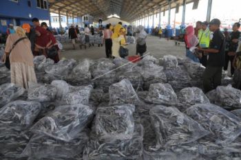 Harga Ikan di TPI Pekalongan Naik