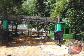 Peresmian Nama Hutan Kota Barut, 11.630 Bibit Pohon Siap Ditanam 