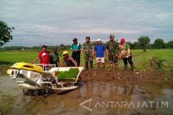 Babinsa-PPL Bantu Petani di Jember Gunakan Mesin Tanam