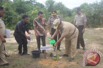 15 Ribu Bibit Pohon Ditanam di 5 Kecamatan di Sukamara