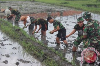TNI-AD Banyak Berkiprah Untuk Masyarakat