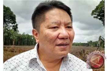 Pabrik Pengolah Sengon di Buntoi Akan Serap 4 Ribu Pekerja