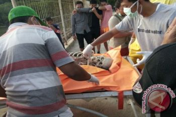 Sesosok Mayat Ditemukan Mengapung di Perairan Tambelan