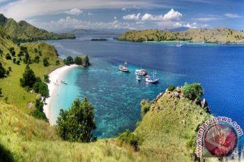 Investasi di NTT Terus Meningkat