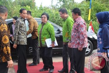 Presiden Jokowi Mampu Beri Motivasi Masyarakat Pulpis, Ini Kata Bupatinya
