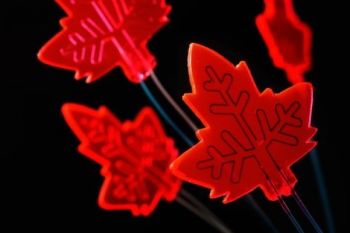 Daun Artifisial Tiru Kemampuan Alam Produksi Obat