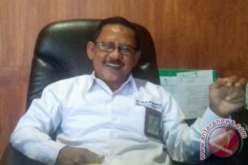 PLN Bangun PLTG Mobile Di Sultra