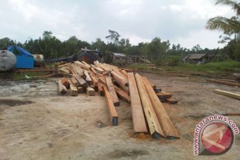 Kades: Penjualan Kayu Resang Diluar Tanggung Jawab Desa