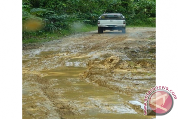 Waduh!! Ratusan Titik Jalan Malawaken - Benangin Di Barito Utara Rusak Parah