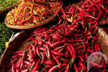 Harga Cabai Rawit Merah di Temanggung Turun Rp20.000/Kg