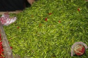 Harga Cabai Rawit Hijau di Purwokerto Naik Rp20.000/Kg