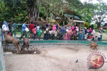 TMSBK Masih Tunggu Perizinan Pemindahan Satwa