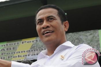 Mentan: Produksi Beras Nasional 79 Juta Ton