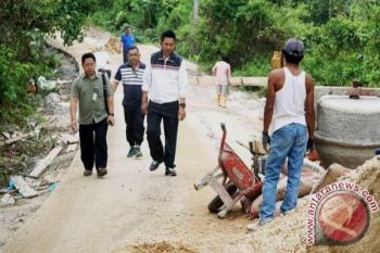 Bupati Barut Cek Pekerjaan Jalan Dan Jembatan 
