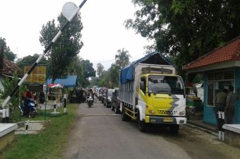 Pengunjung ke Way Kambas Melonjak