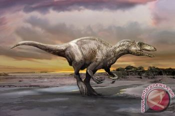 Ternyata, Masa Inkubasi Telur Dinosaurus Sama Dengan Inkubasi Telur Burung