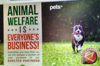 Ingin Memanjakan Hewan Peliharaan? Kini Bisa Melalui Aplikasi Pets.id