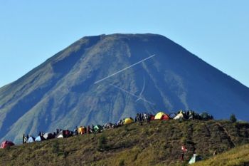 Dikonservasi, Pendakian Gunung Prau Ditutup Tiga Bulan