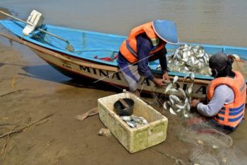 Cuaca Buruk, Hasil Tangkapan Nelayan Jateng Turun 20 Persen