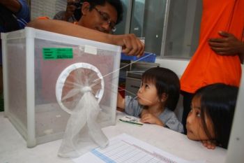Awas! DBD Meningkat