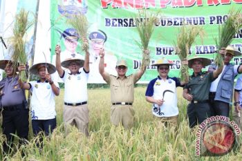 Pusat Alokasikan Rp 66 Miliar--Untuk Peningkatan Produktivitas Pertanian