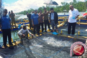 Irianto Komitmen Prioritaskan Peningkatan Kesejahteraan Nelayan