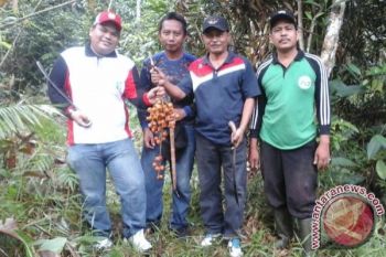 Hutan Sagonta Kota Jadi Ekowisata, KNPI Pastikan Dukung Itu
