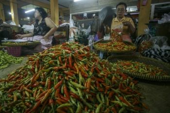 Harga Cabai Rawit di Solo Naik 400 Persen