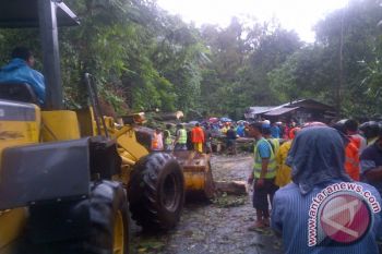 Pohon Tumbang Putus Arus Lalu Lintas Tomohon-Manado 
