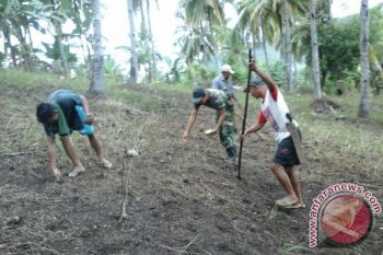 Pemkab Minahasa Tenggara ajak generasi muda kembangkan pertanian