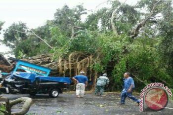 Bupati Sleman tinjau korban angin kencang 