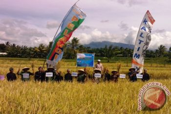 Pupuk Kaltim Edukasi Petani Manfaatkan Pupuk Hayati 