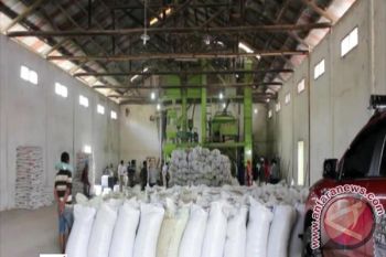 Bulog Lampung Pastikan Capai Target Serapan Beras 