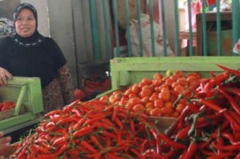 Harga Cabai Rawit Berangsur Turun di Magelang