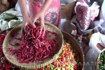 Penjualan Cabai di Madiun Merosot