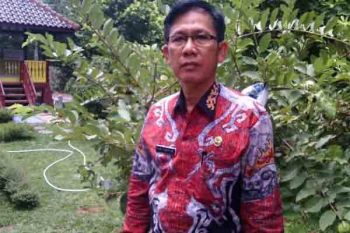 Alokasi Pupuk Bersubsidi Lampung Timur Turun 