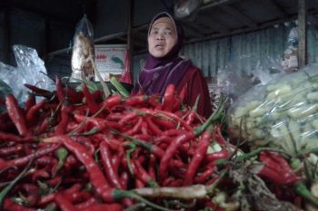 Kecuali Cabai, Harga Sembako di Kudus Stabil