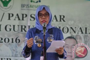 Dinkes Waykanan Klaim Laksanakan Enam Program Kesehatan  