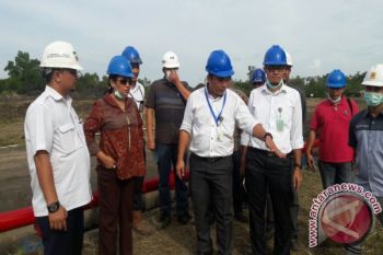 Pemerintah Harus Jamin Kepastian Harga Jagung 