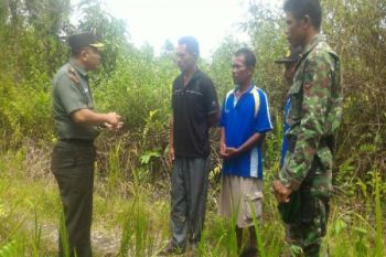 Kodim Paniai target cetak 500 hektare lahan padi 