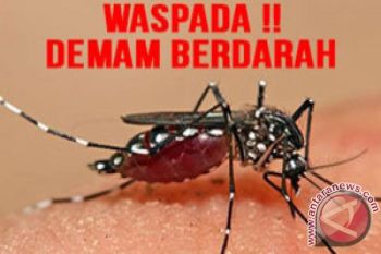 Pengungsi angin puting beliung mulai diserang DBD