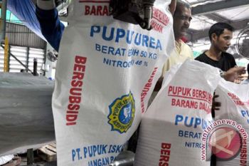 Alokasi Pupuk Bersubsidi untuk NTT 48.254 Ton 