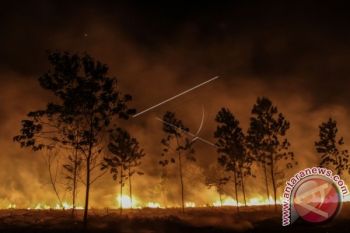 Terbakar lagi lahan gambut di Kabupaten Siak