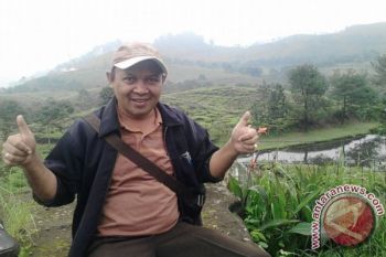 Asita Minta Pemandu Tak Berlisensi Ditertibkan