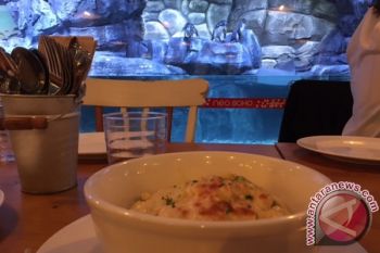 Bikin Mac and Cheese lebih bergizi dengan tmbahan protein
